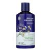 Avalon Active Organics Conditioner - Anti Dandruff - 14 oz